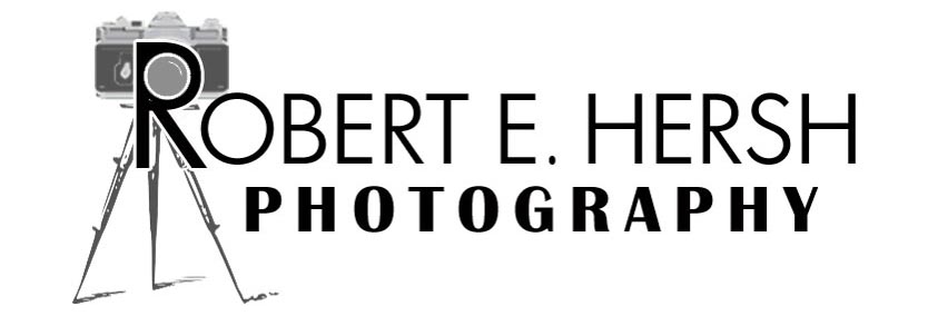 Robert Hersh - Artist Website